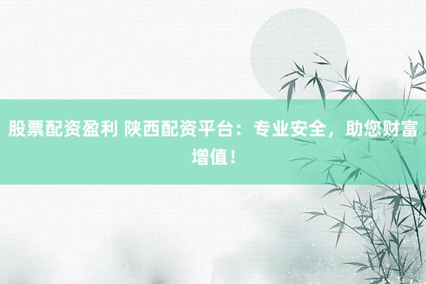 股票配资盈利 陕西配资平台：专业安全，助您财富增值！