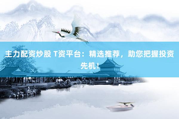 主力配资炒股 T资平台：精选推荐，助您把握投资先机！