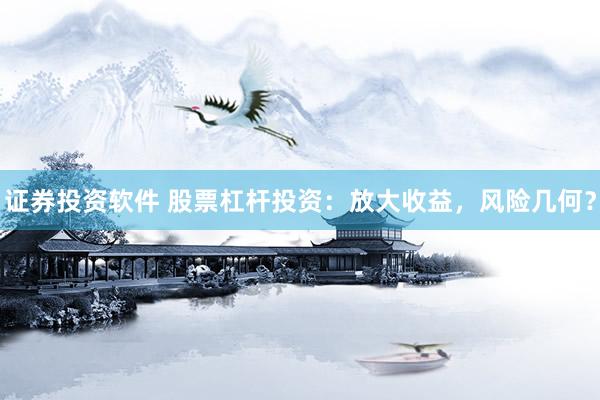证券投资软件 股票杠杆投资：放大收益，风险几何？