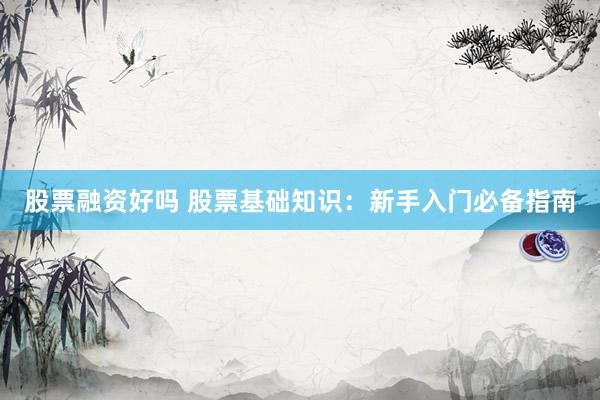 股票融资好吗 股票基础知识：新手入门必备指南