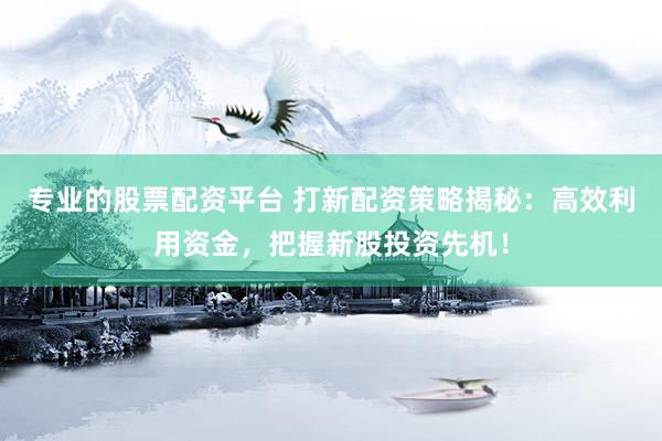 专业的股票配资平台 打新配资策略揭秘：高效利用资金，把握新股投资先机！