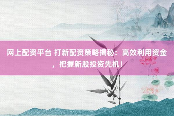 网上配资平台 打新配资策略揭秘：高效利用资金，把握新股投资先机！