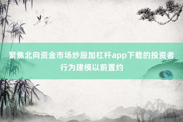 聚焦北向资金市场炒股加杠杆app下载的投资者行为建模以前置约