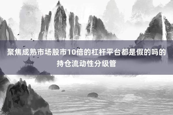 聚焦成熟市场股市10倍的杠杆平台都是假的吗的持仓流动性分级管